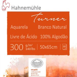 Papel para Aquarela William Turner Textura Fina 300g 50x65cm Hahnemühle